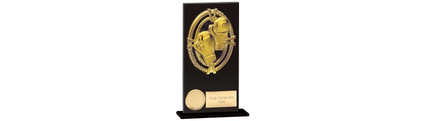 FUSION MAVERICK BOXING TROPHY - 5 SIZES - 12.5CM - 20CM FUSION MAVERICK BOXING TROPHY - 5 SIZES - 12.5CM - 20CM